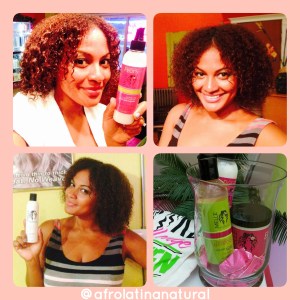 Hair Product Review: Mielle Organics